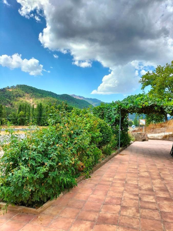 Casa Arroyo De La Celada Риопар Экстерьер фото